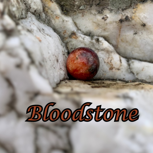 Bloodstone Bracelet®